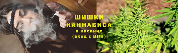 ПСИЛОЦИБИНОВЫЕ ГРИБЫ Арсеньев
