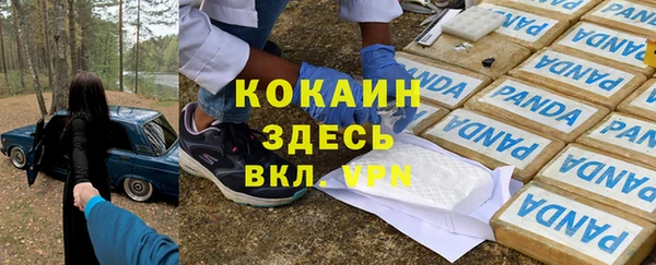 спиды Аркадак