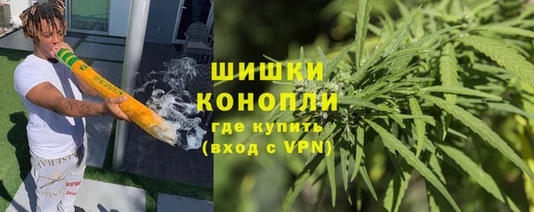 ПСИЛОЦИБИНОВЫЕ ГРИБЫ Арсеньев