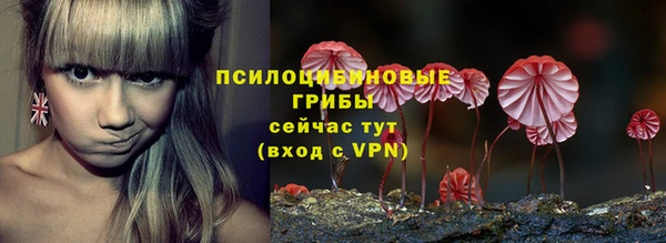 ПСИЛОЦИБИНОВЫЕ ГРИБЫ Арсеньев