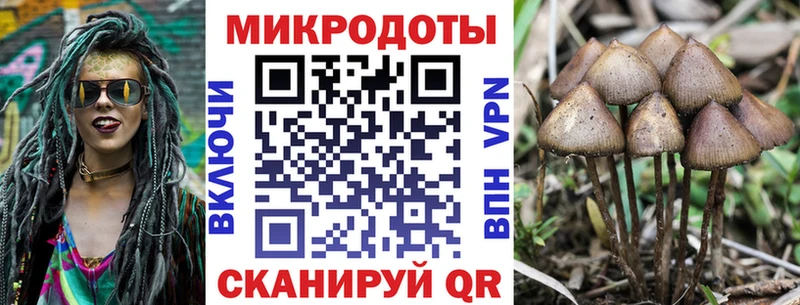 Псилоцибиновые грибы Cubensis  Лысьва 